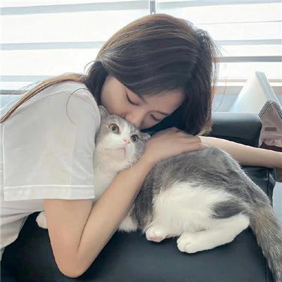 误入险境海报
